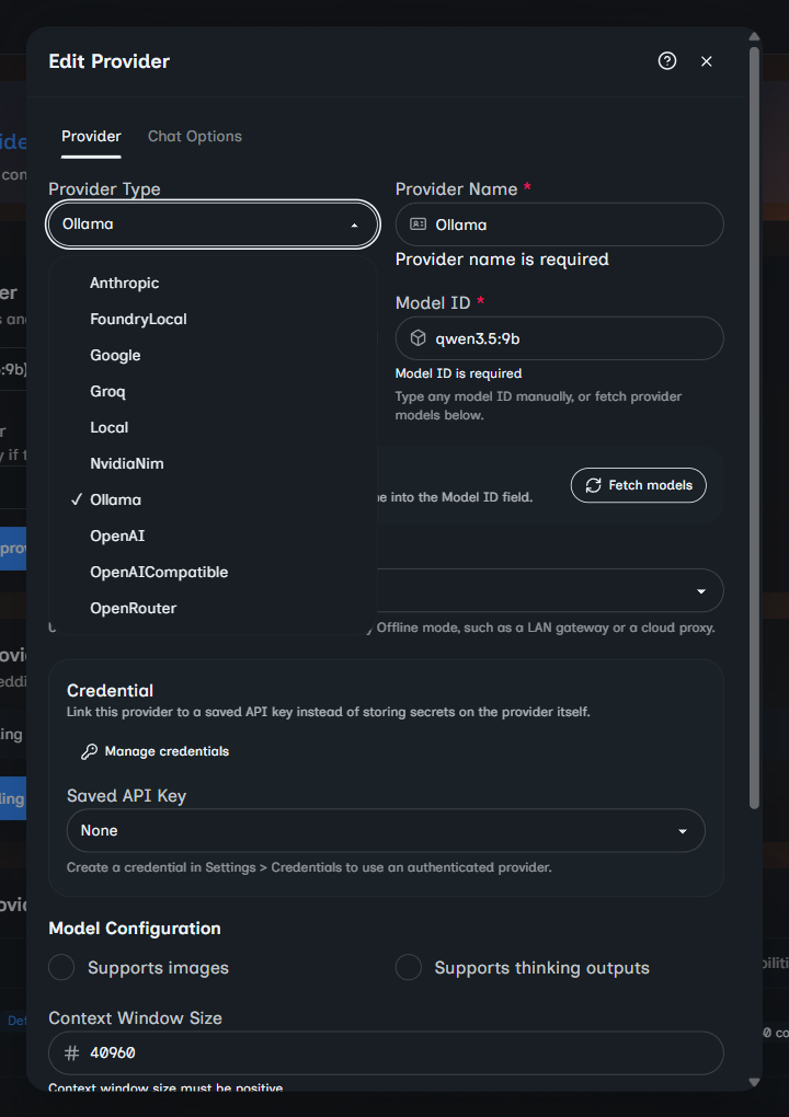 Model provider editor with the available provider types open.